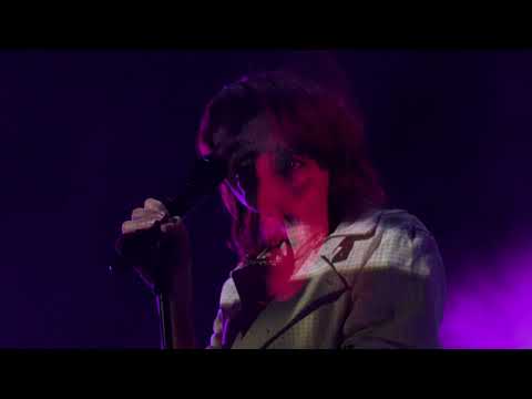 PLANT - Nynke Laverman