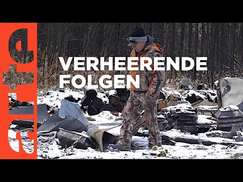 Video Thumbnail: Kanada: Vom Feuer lernen | ARTE Reportage