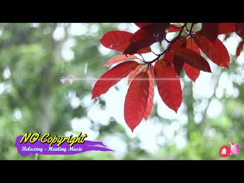 No Copyright | Free Music #shorts #viral #Mulita #lyrics #song #music #relaxing