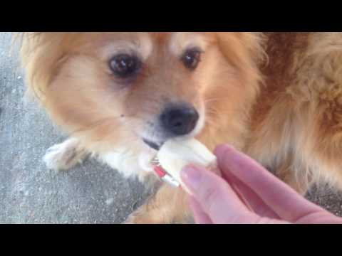 Sam A. Baker State Park April 2017