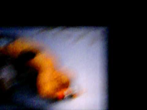 UFC 98 - Baba O'Reily