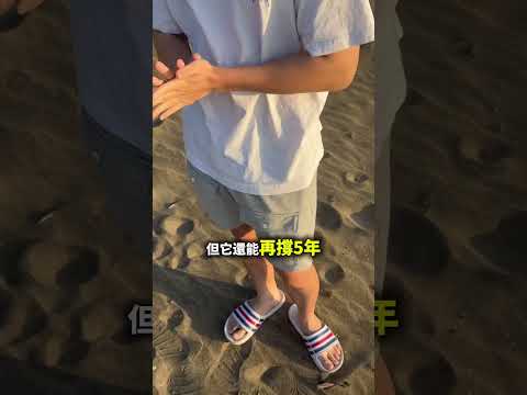 社底大學生的穿搭我們不追流行 只求耐用畢竟 活下去比較重要#社會底層 #大學生 #掙扎 #魯蛇 #普通人 #日常 #生活 #心靈雞湯 #大學生活 #眼界 #淡江大學 #穿搭 #穿搭日常