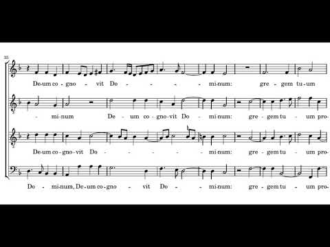 Victoria: O decus apostolicum - Cardinall's Musick