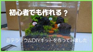 初心者でも作れる？苔テラリウムDIYキットを作ってみました