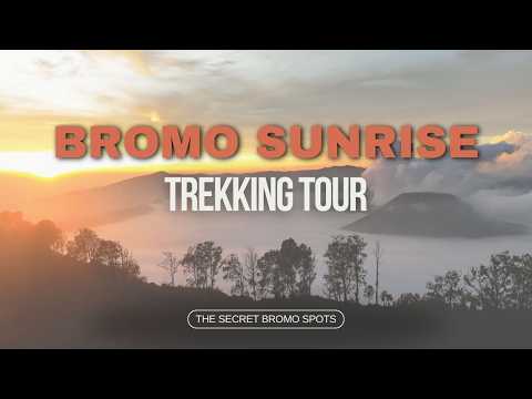 Mount Bromo Trekking Tour