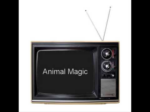 Classic UK TV Theme ~ Animal Magic (Las Vegas)
