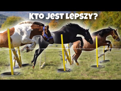 THE POWER OF OUR HORSES' JUMPING