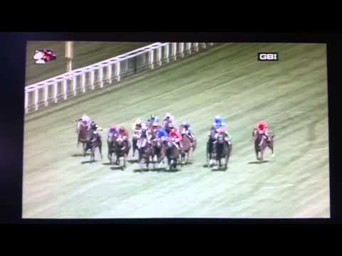 2014皇席錦標 2014 King's Stand Stakes G1