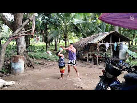 aaron gordon dunk 💪🏀