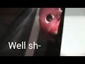 Vita Carnis Mimic Attack But It Attacks The Wrong Guy