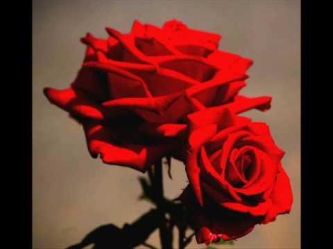 AMOR GITANO .FRANÇOIS REYES  CANUT GIPSY KING.wmv