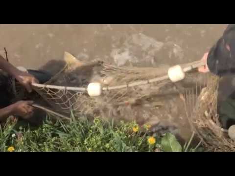 Može bolje ep. 59 21.05.2018. NAJAVA