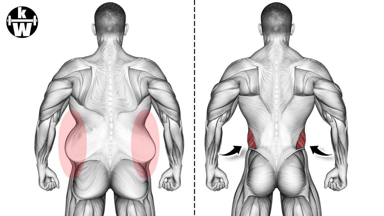 If You want a Slimmer Waist, Do This Exercise. - YouTube