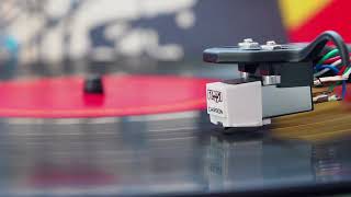 Elvis Costello - Two Little Hitlers