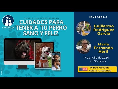 Cuidados para tener a tu perro sano y feliz