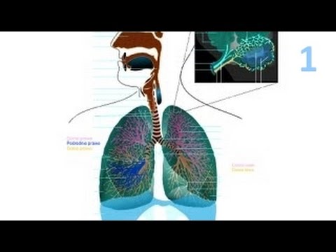 Maska do włosów żółtko jaja Tanie maska do włosów z drogi