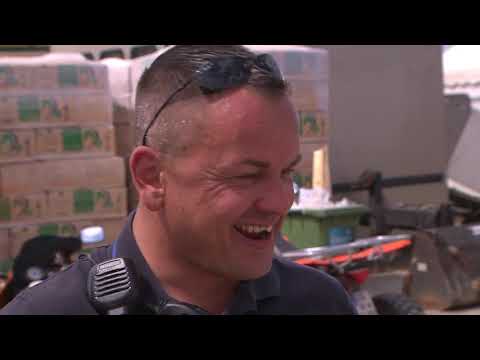 Schwertransport im Pferdesport - NDR Reportage