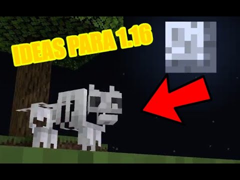 IDEAS PARA MINECRAFT 1.16 | TOP 4