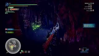 NAOのMHW:IB #20 君と僕とのぬかるみマーチ