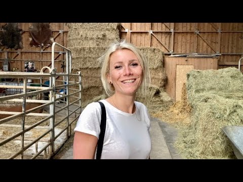 Wohnmobil Trip Eltville am Rhein - Kloster Erbach | Kisselmühle