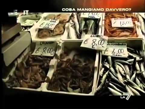 Analisi per conto di lyambliya Pancreatite cronica e parassiti