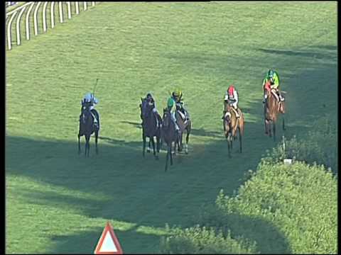 Galoppo 18/12/2016 - 1ª corsa