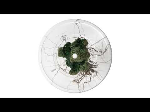 Techu - Promise [BHR003]