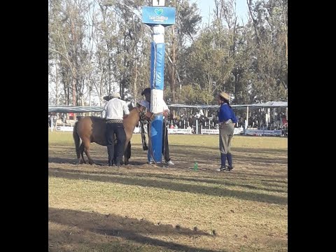 HISTORIA DE UNA MONTADORA - Mia Luque  con 14 años - Cordoba Argentina