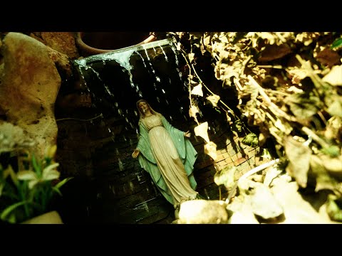 Reyy - MHQL (Official Video)