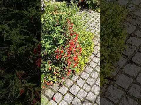 Spökslottet, Stockholm