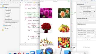 Reference Folder : Populate UICollectionView from Reference folder using xcode 8.2.1 and swift 3.0
