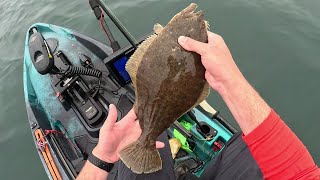 Certainly A Lot Of Fluke Around
