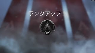 少しだけapexやります