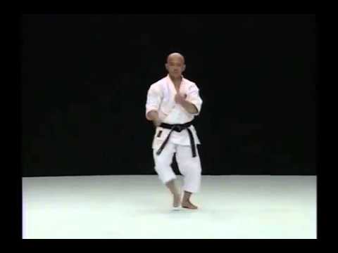 Ryuei Ryu Niseishi - Tsuguo Sakumoto