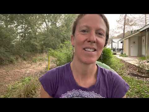 Lesson 344 and Jesus commentary from A Year of Forgiveness #acim