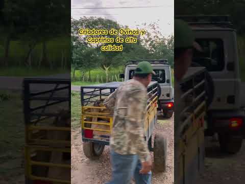 Criadores de Ovinos y Caprinos de Alta Calidad, Criadero Finca Yuseca. Manati, Atlantico, Colombia.
