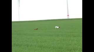 Pointer y todos los setter