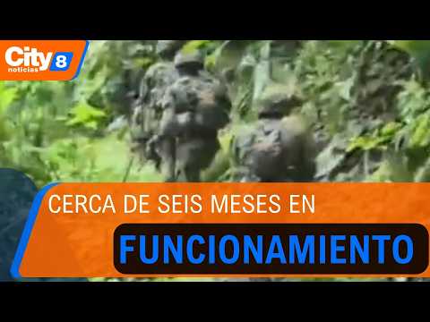 Incautan 22 kilos de marihuana y erradican dos hectáreas de coca en Yacopí, Cundinamarca | CityTv