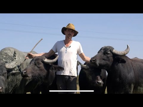 Einladung an die Forststudenten: Herdenschutz und Agroforstsysteme