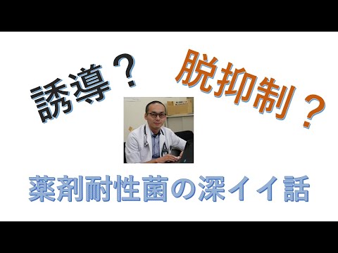 看護学科 8つの薬剤耐性機序と誤解しやすい「誘導」と「脱抑制」の話