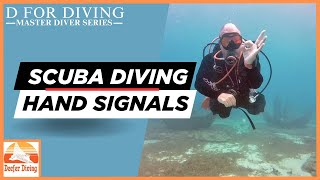 Important Scuba Diving "Hand Signals" [Master Diver Series]