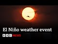 El Niño planet-warming weather phase begins - BBC News