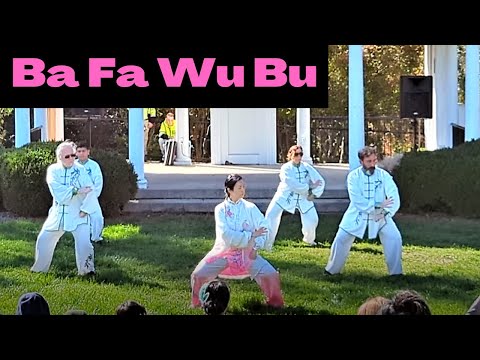 Ba Fa Wu Bu Tai Chi Demonstration