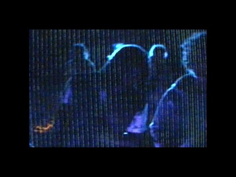 Tenah meets Oddy - Freedom (Visualizer)