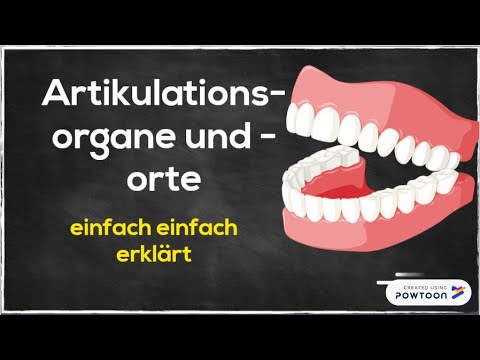 Sound designations according to articulatory organ and place of articulation