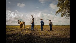Savaştan Sonra | Mudbound | Teaser fragman