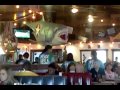 Joe's Crab Shack Kansas City Mo