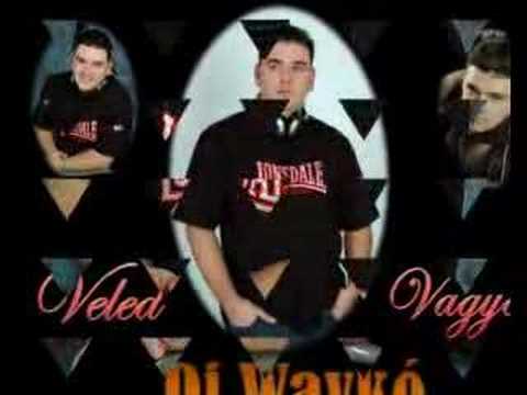 Dj Waykó - Veled Vagyok (radio version)