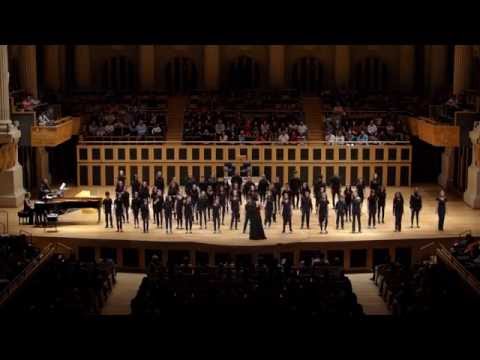 Coral Heliópolis do Instituto Baccarelli – Gil, Domingo no Parque