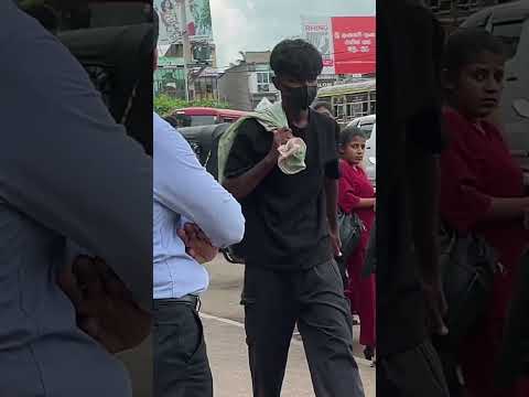 500M views - Dog voice prank.! 🇱🇰 🐕